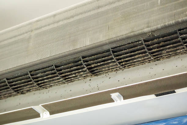 Best Air Vent Cleaning Services  in Island Heights, NJ