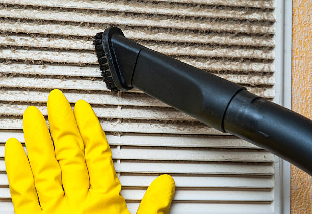 Best Home Air Vent Cleaning  in Island Heights, NJ